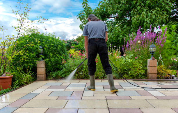 Animal Enclosure Cleaning in Camden, DE